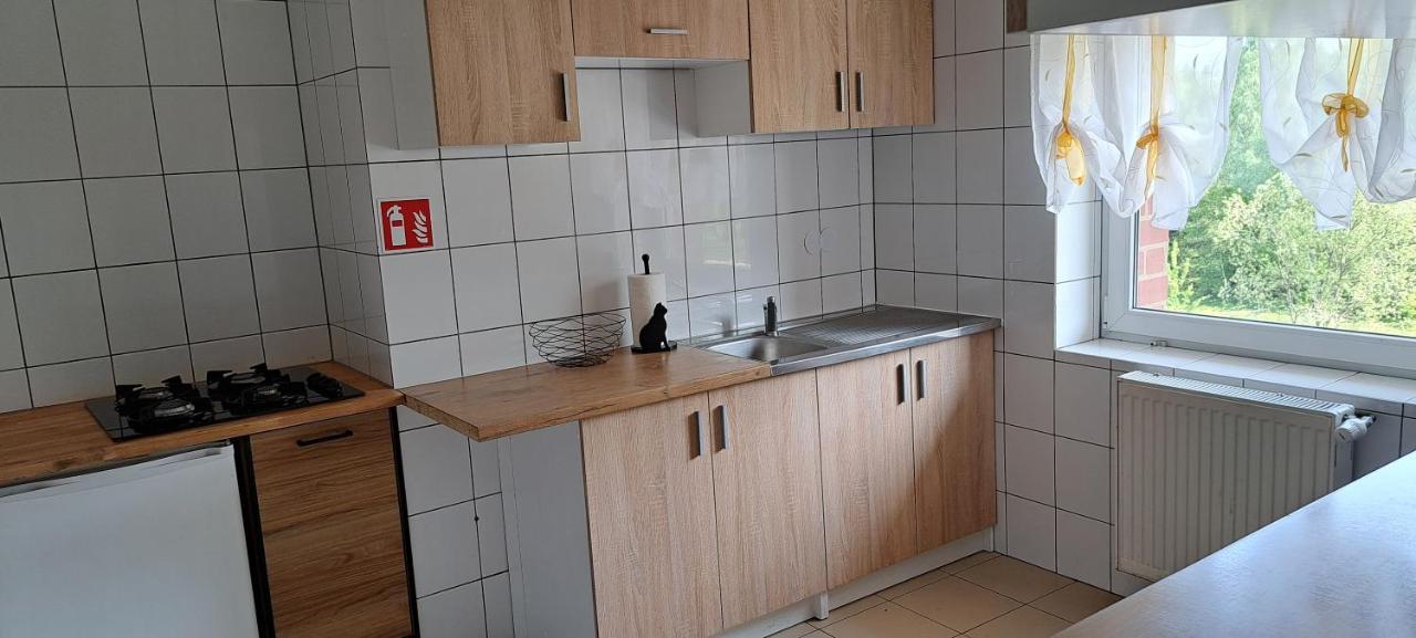 Gorskie Zacisze Bed & Breakfast Borowice Eksteriør bilde