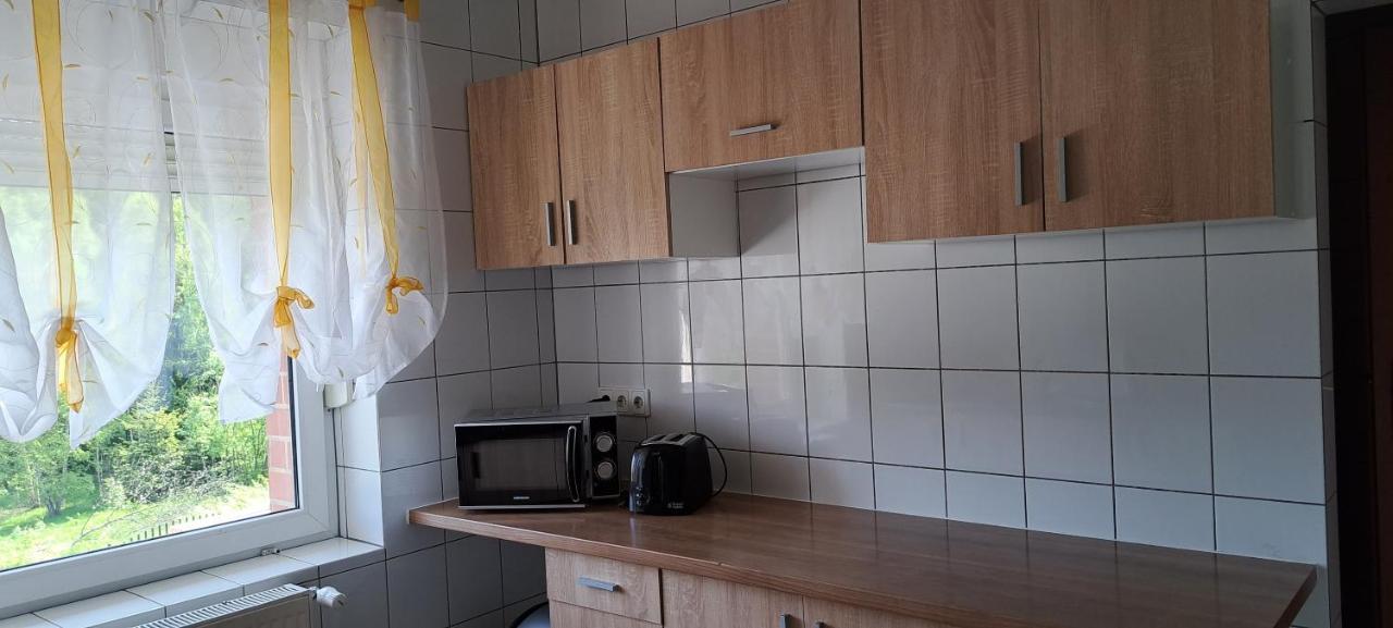 Gorskie Zacisze Bed & Breakfast Borowice Eksteriør bilde