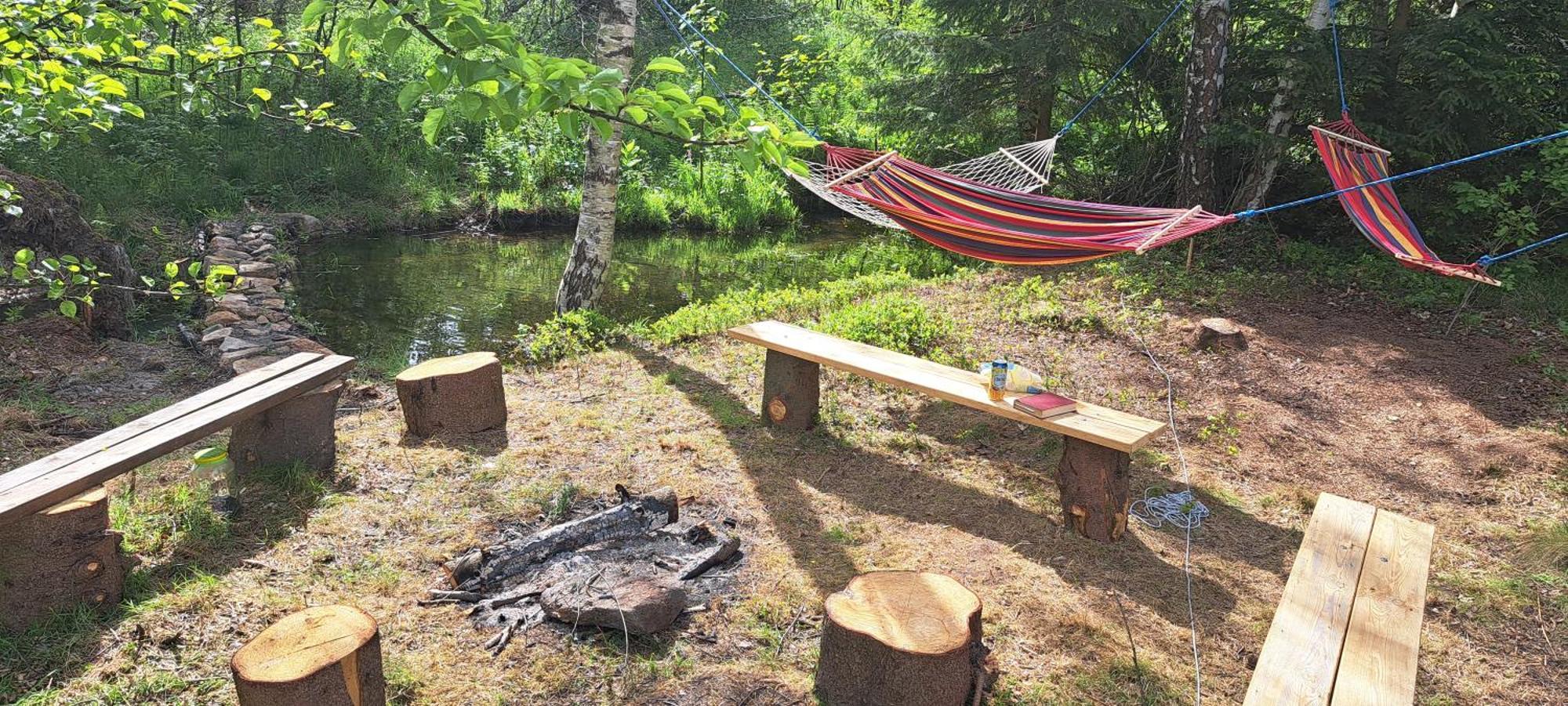 Gorskie Zacisze Bed & Breakfast Borowice Eksteriør bilde