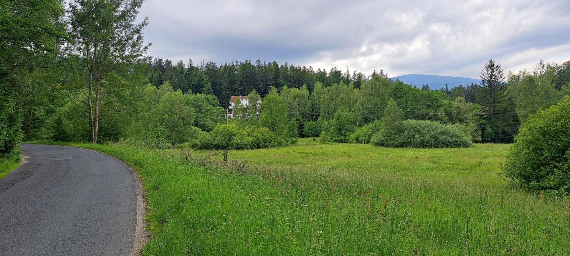 Gorskie Zacisze Bed & Breakfast Borowice Eksteriør bilde
