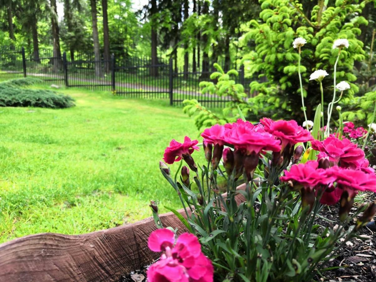 Gorskie Zacisze Bed & Breakfast Borowice Eksteriør bilde