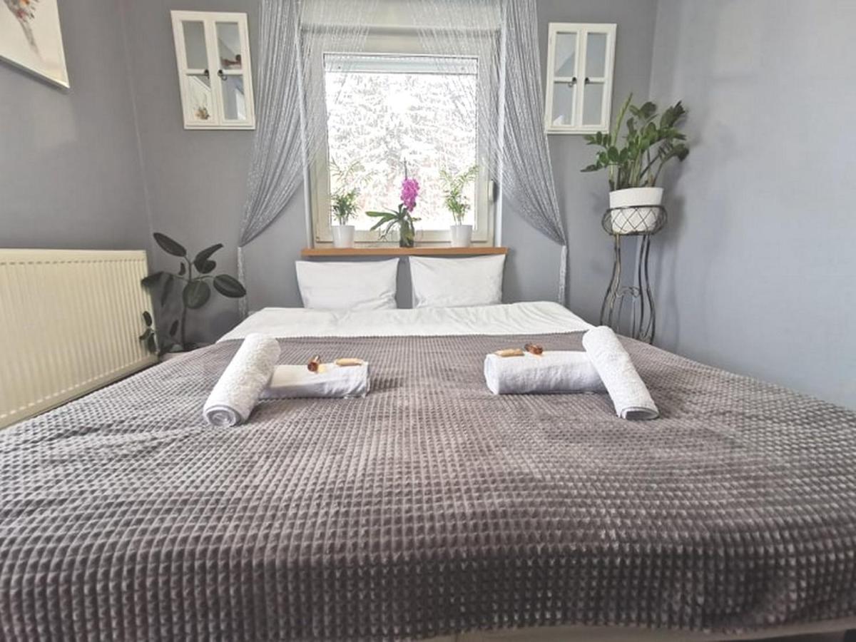 Gorskie Zacisze Bed & Breakfast Borowice Eksteriør bilde